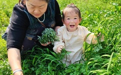 网游之战御天下